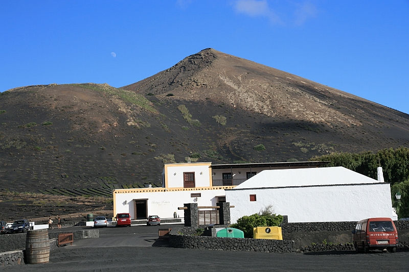 Kanary_2010 370